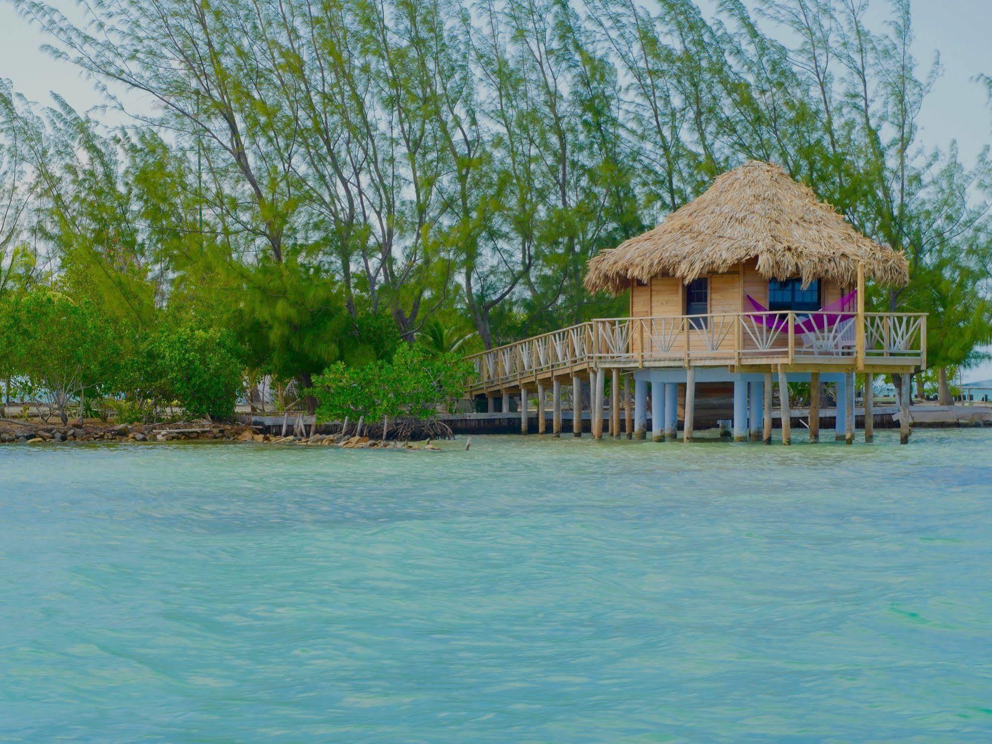 Thatch Caye Resort A Muy'Ono Resort Hopkins Extérieur photo